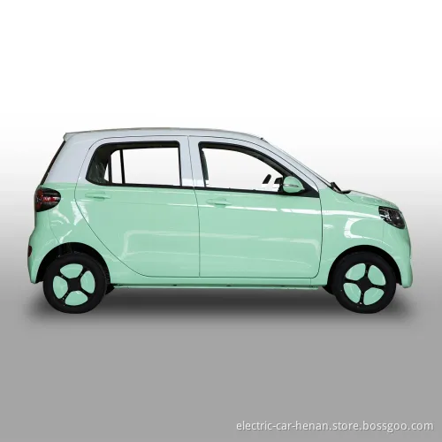 Family Polular Rhd Minn New Energy Vehicle